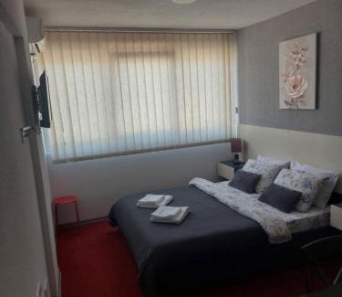 Central Serbia Apartment | Rooms S&S Milicevic u strogom centru Aleksandrovca