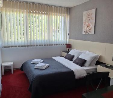 Central Serbia Apartment | Rooms S&S Milicevic u strogom centru Aleksandrovca