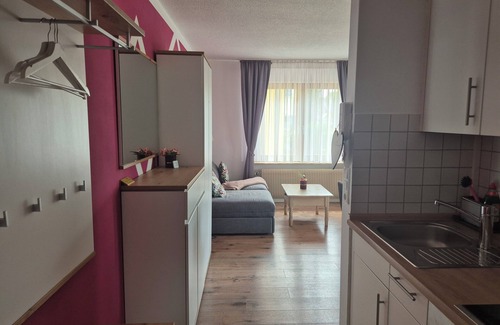 Kenzingen Apartment | Rosalie approx. 15 minutes by car. to Europe Park