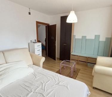 Veternik Apartment | Rose