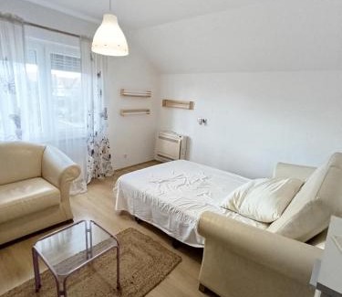 Veternik Apartment | Rose