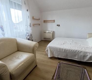 Veternik Apartment | Rose