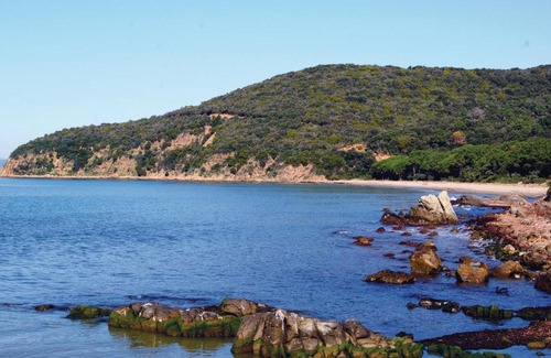 Puntone di Scarlino Apartment | Rosso 2