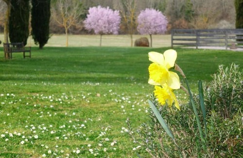 Colle di Val d'Elsa Apartment | "ROSTRA 2" 1 bedroom apartment in the Tuscan countryside - Colle di Val d'Elsa
