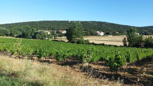 Baron Bed & Breakfast | Roulotte Farigoule Esmeralda