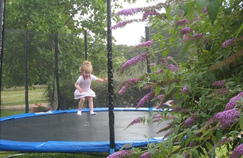 Doue-en-Anjou House | ROULOTTE GITE JACUZZI HEATED COVERED PRIVATE POOL AND SAUMUR DOUE