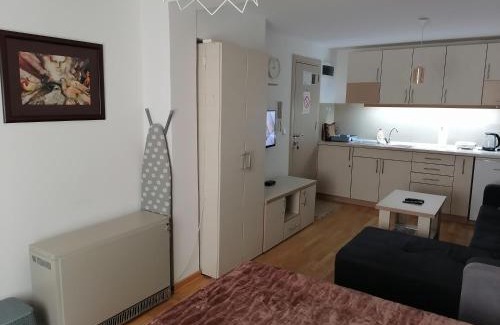 Vrnjacka Banja Apartment | Royal 019