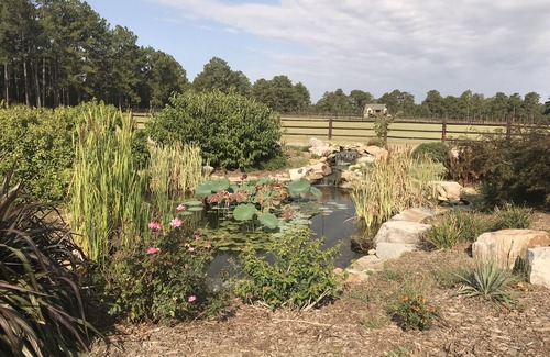 Vass House | Royal Fox -3BR Stunning Horse Farm Hunt Box in Southern Pines Area