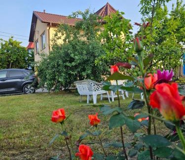 Kamenets-Podol'skiy House | Royal House
