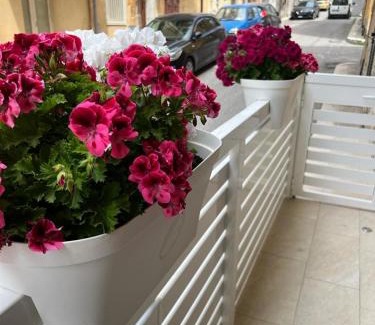 Gela Apartment | Royal Svevia