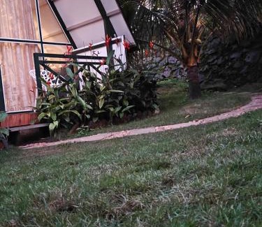 Meppadi House | Royal Woods