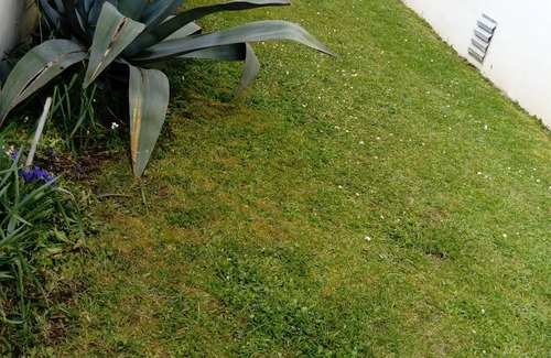 Royan Apartment | Royan: apartment/flat - Royan
