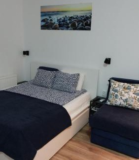 Banja Koviljaca Apartment | RUŽICA