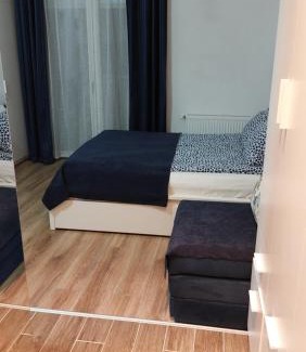 Banja Koviljaca Apartment | RUŽICA