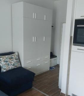 Banja Koviljaca Apartment | RUŽICA