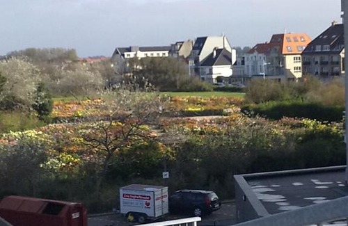 Bredene House | Ruhiges Ferienhaus in Bredene