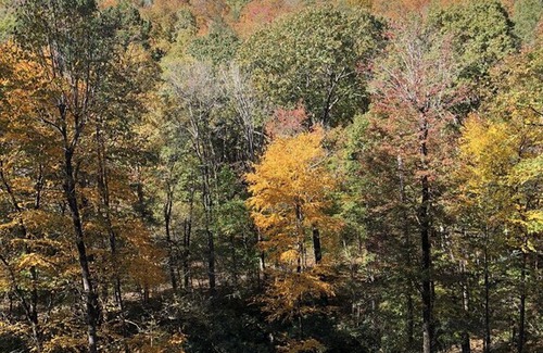 Lake Lure House | Rumbling Bald Resort Amenities! Mountain Views and Rushing Creek!