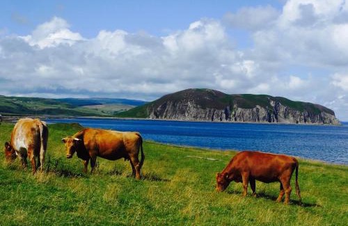Campbeltown House | Rural Farmhouse on Kintyre, West Coast hidden gem