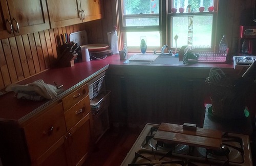 Grand Marais Cabin | Rustic 2-bedroom secluded cabin on Devil Track Lake - minutes from Grand Marais