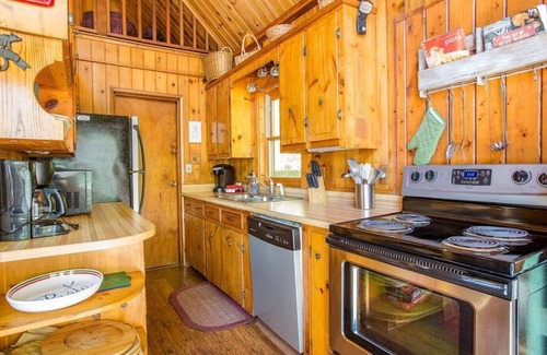 Asheville Cabin | Rustic Cabin In Asheville Forest-15 Minutes From Downtown AVL, yet worlds away!