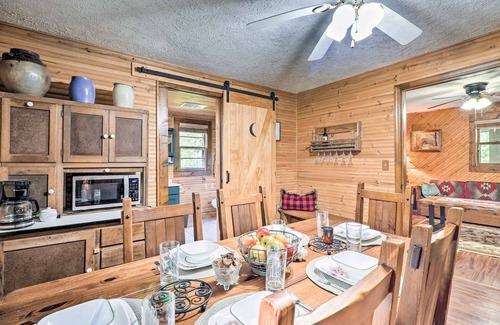 Ennice Cabin | Rustic Cabin w/Patio & Pond on Blue Ridge Parkway