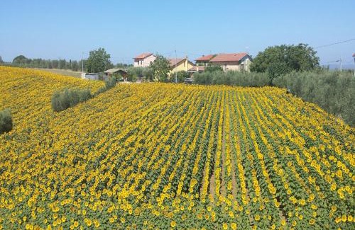 Cortona House | Rustic Charm, Modern Comfort