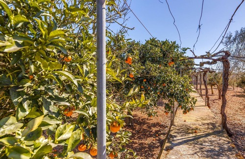 Ariany Villa | Rustic Country House "Finca Campas" with Pool, Several Terraces