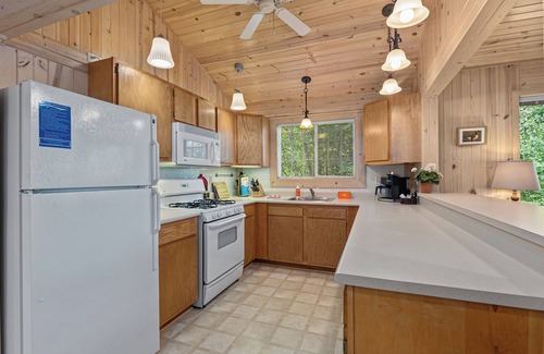 Sayner Cabin | Rustic Fawn | Fireplace, AC, Lake Access w/Dock, Dogs OK w/fee