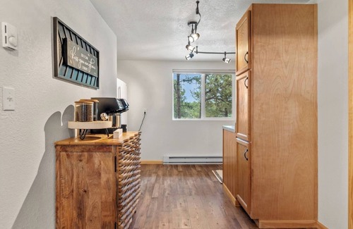 Custer Apartment | Rustic Sanctuary: Firepit + Sauna + Wildlife Watching