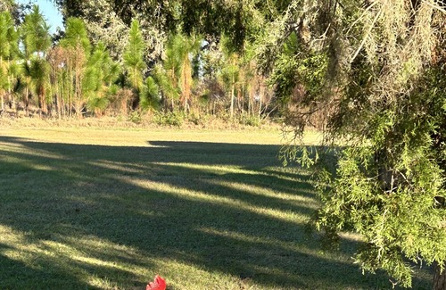Boys Ranch RV Rental | RV Campsite ONLY in Suwannee County Florida, near the Suwannee River