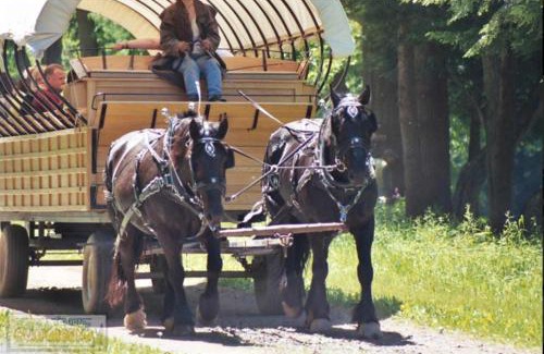 Wellsboro House | RV Site Full Hookup up to 43ft
