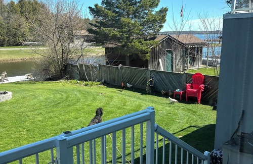 Fenelon Falls House | Ryco lake house
