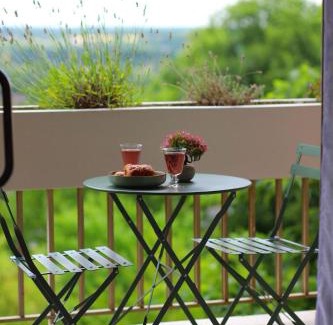 Montrichard Val de Cher Apartment | Séjour idéal Zoo de Beauval & Vallée des châteaux