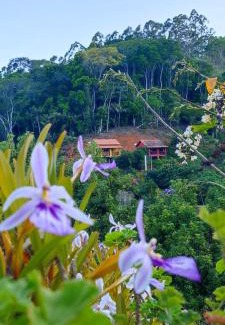 Domingos Martins Hotel | Sítio e Pousada Vista Verde