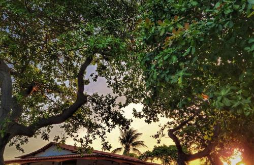 Coqueiral House | Sítio SPA Céu De Verdade , Praia de Barra Nova , Ceará