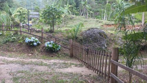 Nova Trento Other | Sítio Vô Luizinho