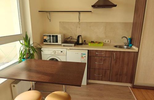 Pozniaky Apartment | S&M Apartments - Zarichna