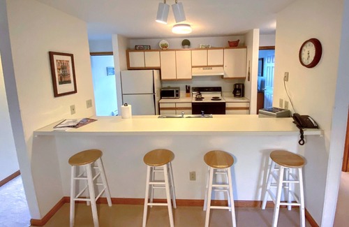 Bretton Woods Condo | S10 Cozy Bretton Woods ground level condo, mountain views, large yard, dog friendly, Great Location!