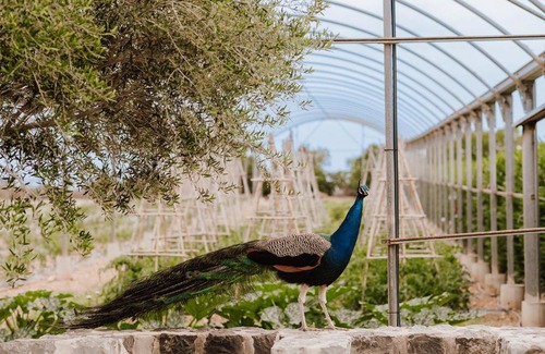 Muro House | Sa Talaia Blanca