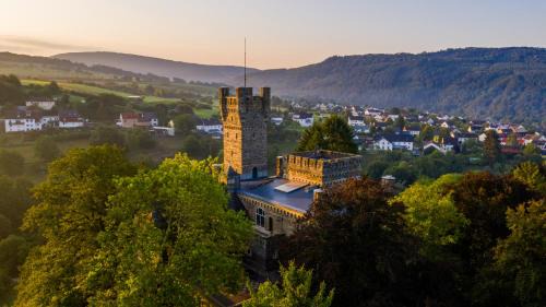 Serrig House | Saar Castle - cozy Mansion near vineyard