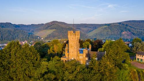 Serrig House | Saar Castle - cozy Mansion near vineyard