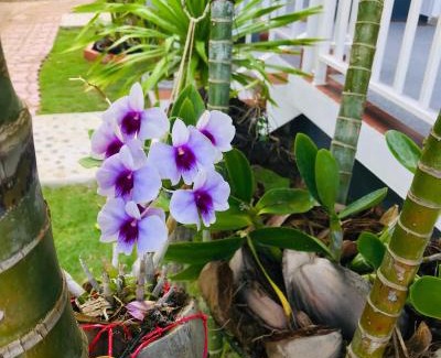Saladan Apartment | Sabaidee mansion&hotel