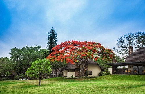 Hazyview Hotel | Sabi River Sun Resort