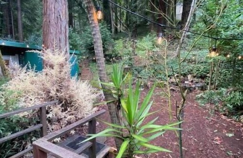 Guerneville House | Sacred Redwood Chalet 30 day+Vaca/Furnished Rental