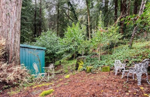 Guerneville House | Sacred Redwood Chalet 30 day+Vaca/Furnished Rental