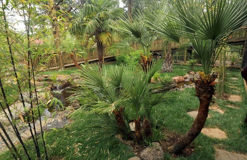 Santa Rosa RV Rental | Safari West
