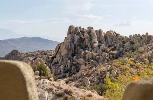 Yucca Valley House | Saguaro Ridge by Fieldtrip | Palm Tree Oasis | Pool & Yoga Deck