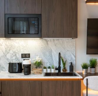 Saint-Gervais Apartment | SAINT- PAUL - LUXURY APARTMENT IN HOTEL DE VILLE