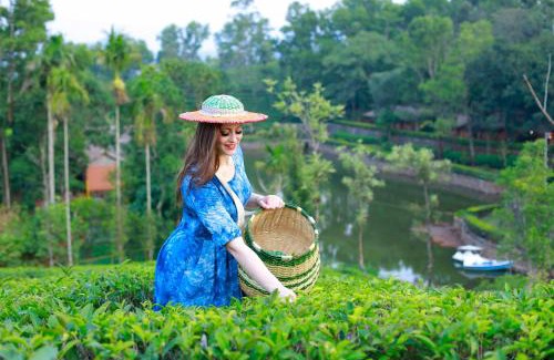Vagamon Resort | Saj Vagamon Hideout