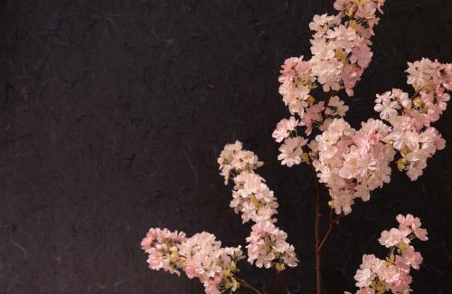 Haginaka Apartment | Sakura Stay Otorii